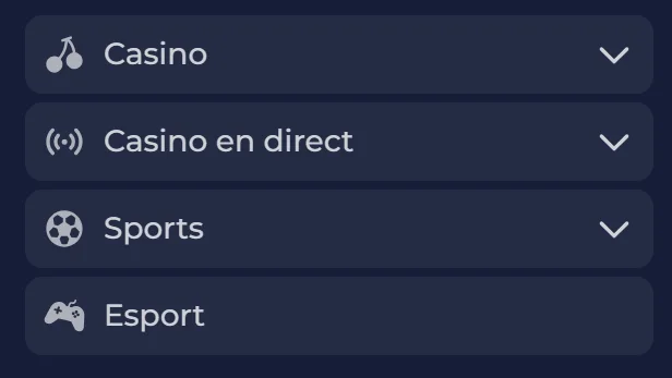 Informations sur l’expérience mobile de NineCasino